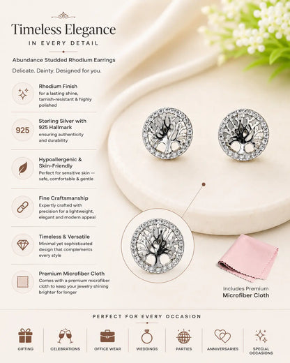 Abundance Studded Rhodium Earrings 3