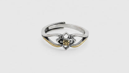 Stardust Gold & Oxidised Adjustable Ring for Women 5