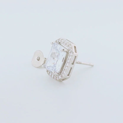 Virelle Rhodium Earrings